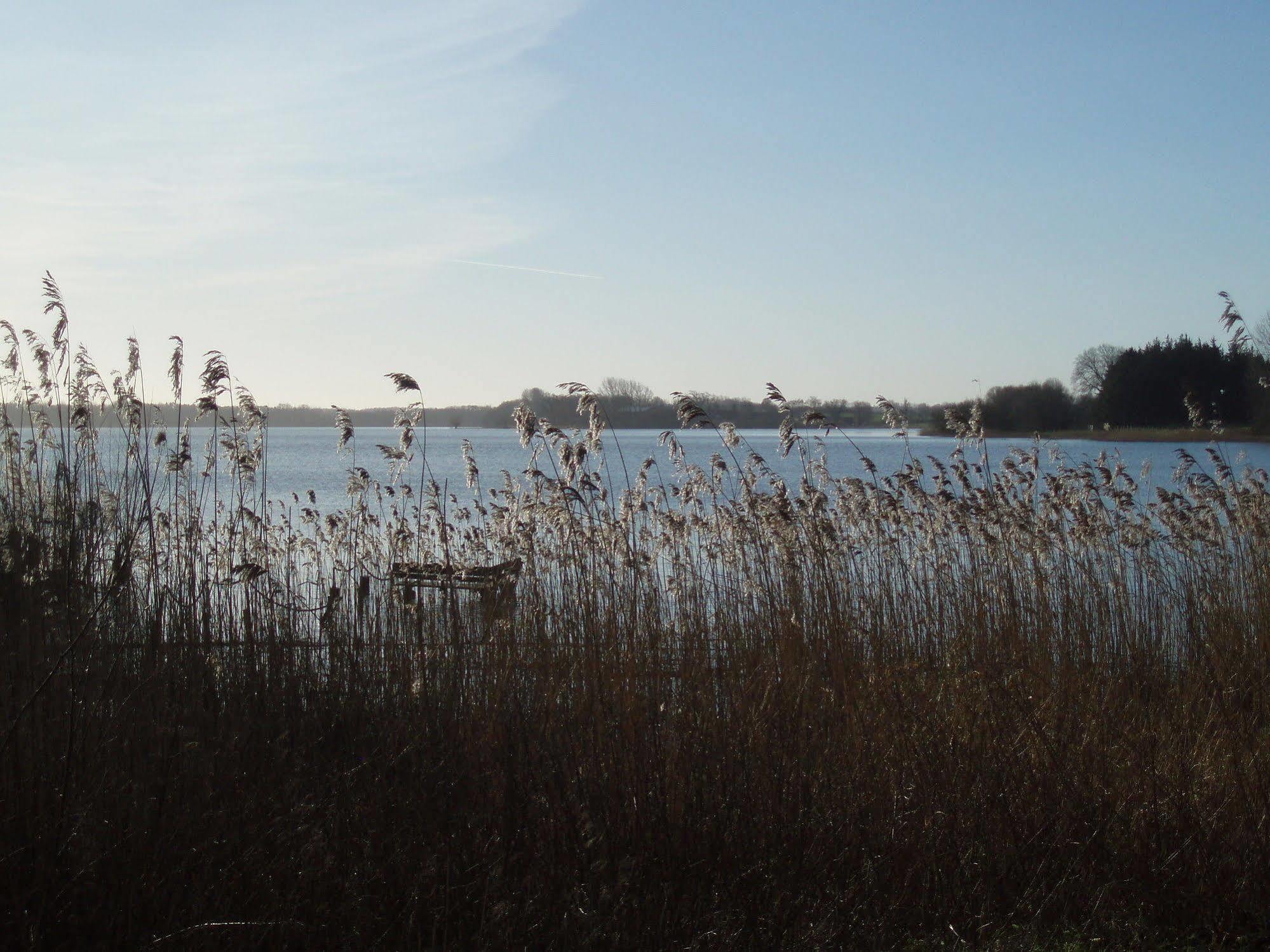 Fischerwiege Am Passader See מראה חיצוני תמונה
